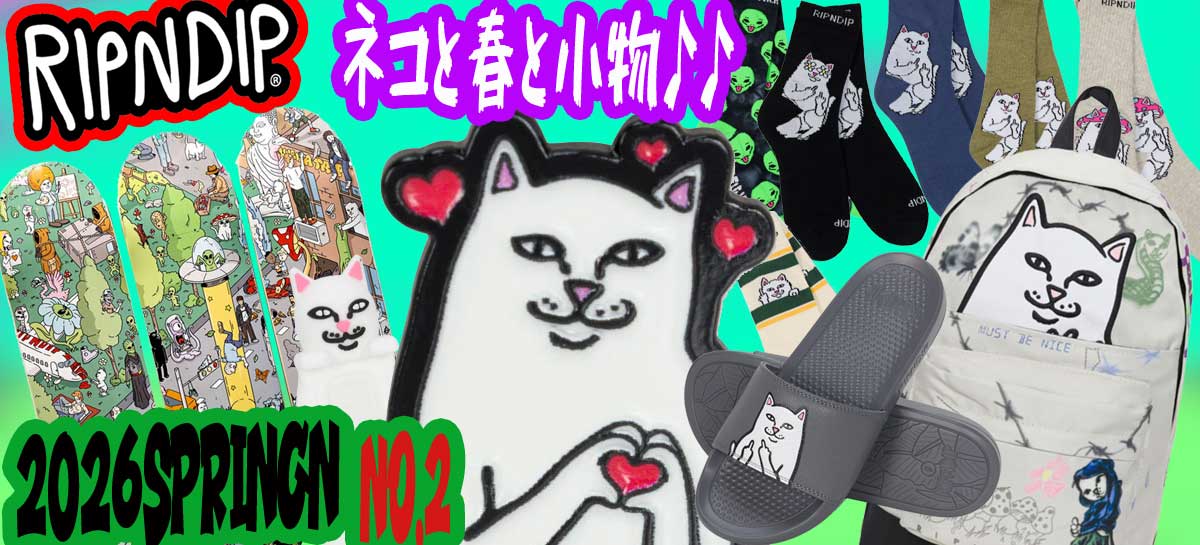 ripndip2026sp21200545.jpg