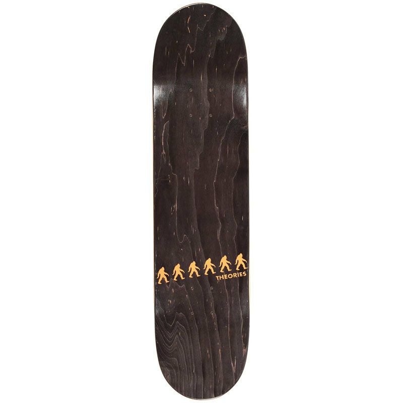 THEORIES(セオリーズ)【商品画像３】